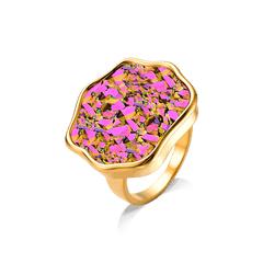 Drusa Multicolorida